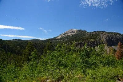 DSC_0028 (Large).JPG